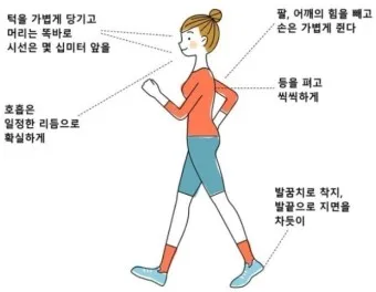걷기운동 효과 좋은점 놀라운 효능 방법_5