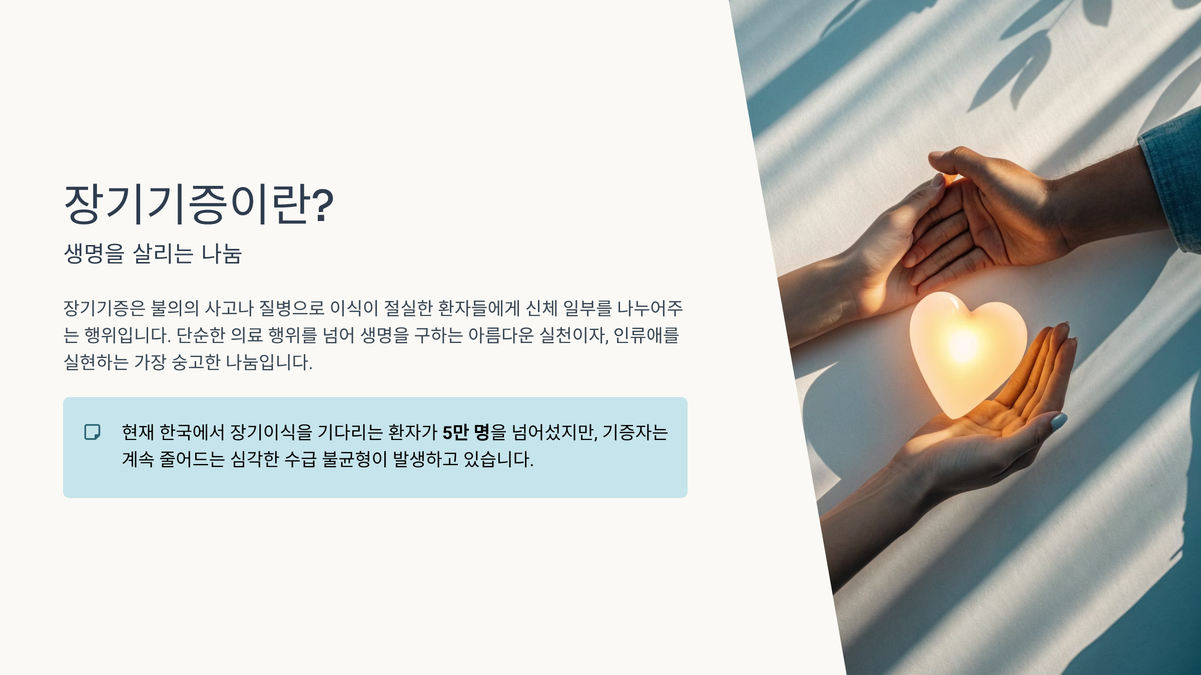 장기기증 신청방법 생명을 나누는 아름다운 약속 가이드