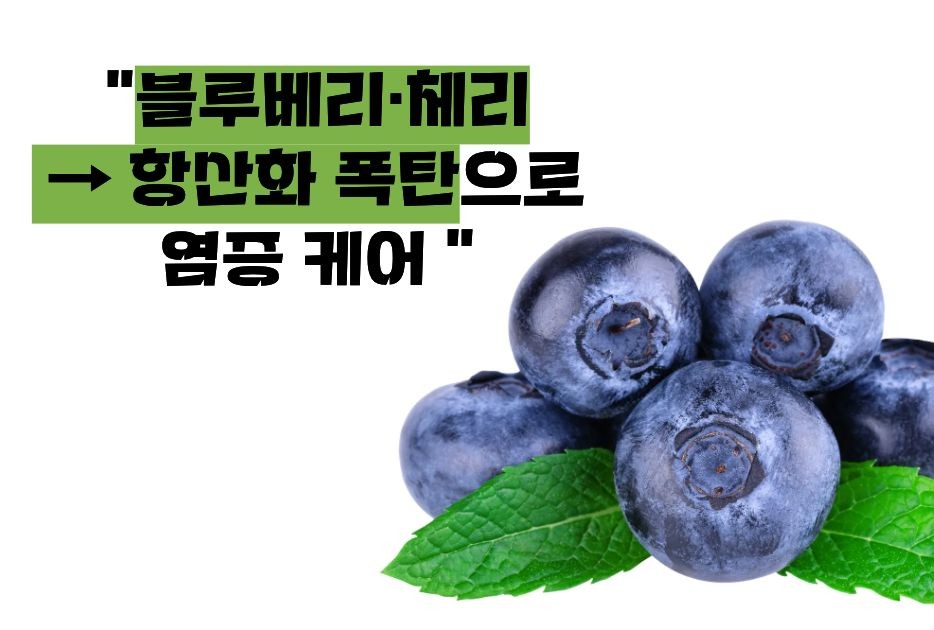 루푸스병에 좋은 음식