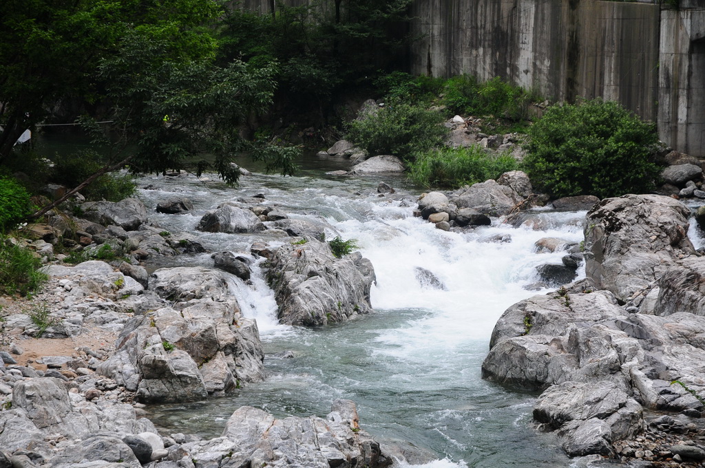 2025 청원생명축제&amp;#44; 가족 농촌체험