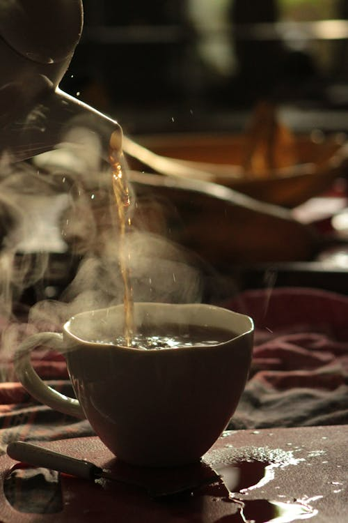 감기증상·원인·치료,환절기 건강관리