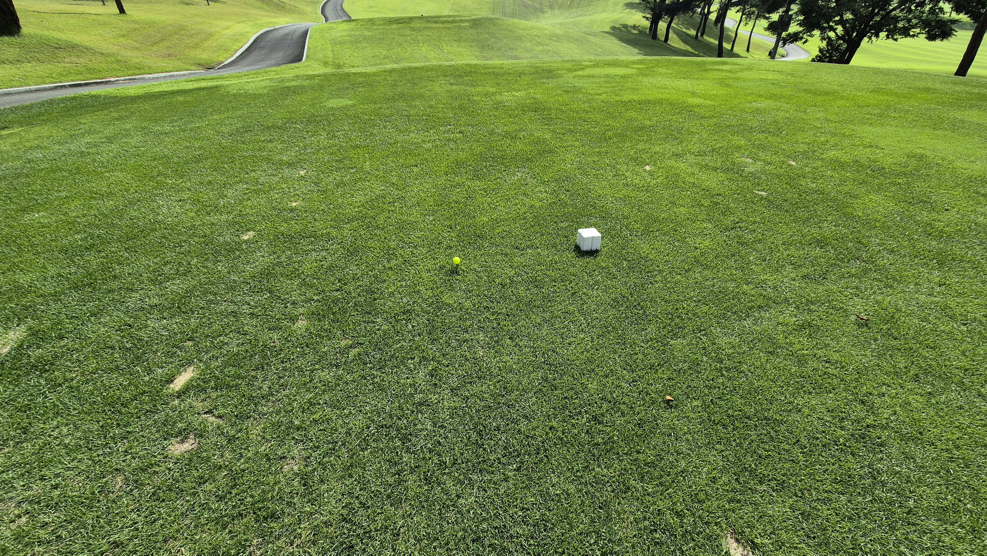 동원썬밸리cc 라운드 후기