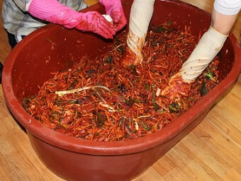 김치양념-김치속-담는장면