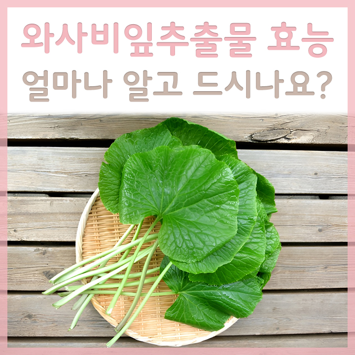 바구니에-담긴-와사비잎