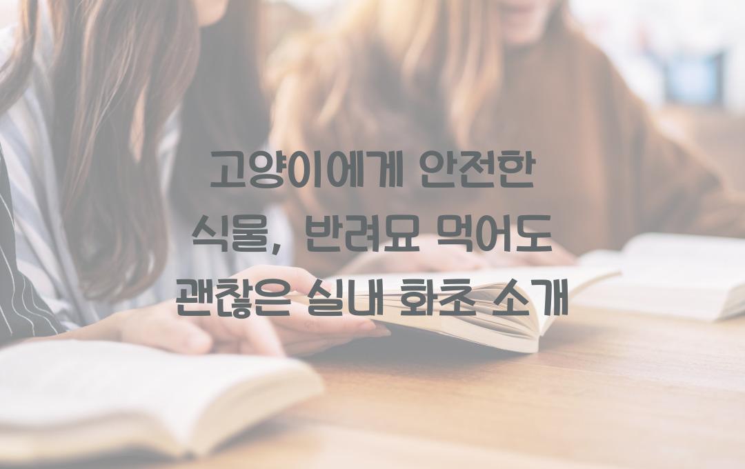 고양이에게 안전한 식물, 반려묘가 먹어도 괜찮은 실내 화초