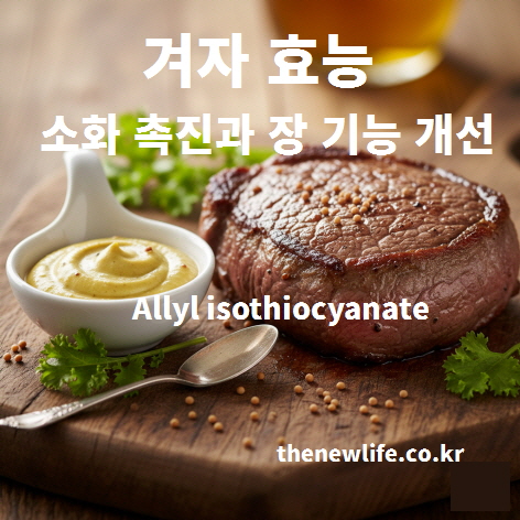 겨자와 고기 요리에 곁들여진 머스터드 소스 &ndash; 알릴아이소티오시아네이트(AITC)가 소화 촉진과 장 기능 개선에 도움이 되는 효능을 표현한 이미지
