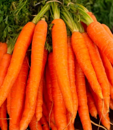 당근마켓 pc버전 다운로드