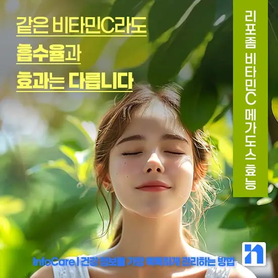 리포좀 비타민C 메가도스 효능