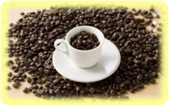 커피 보관 방법