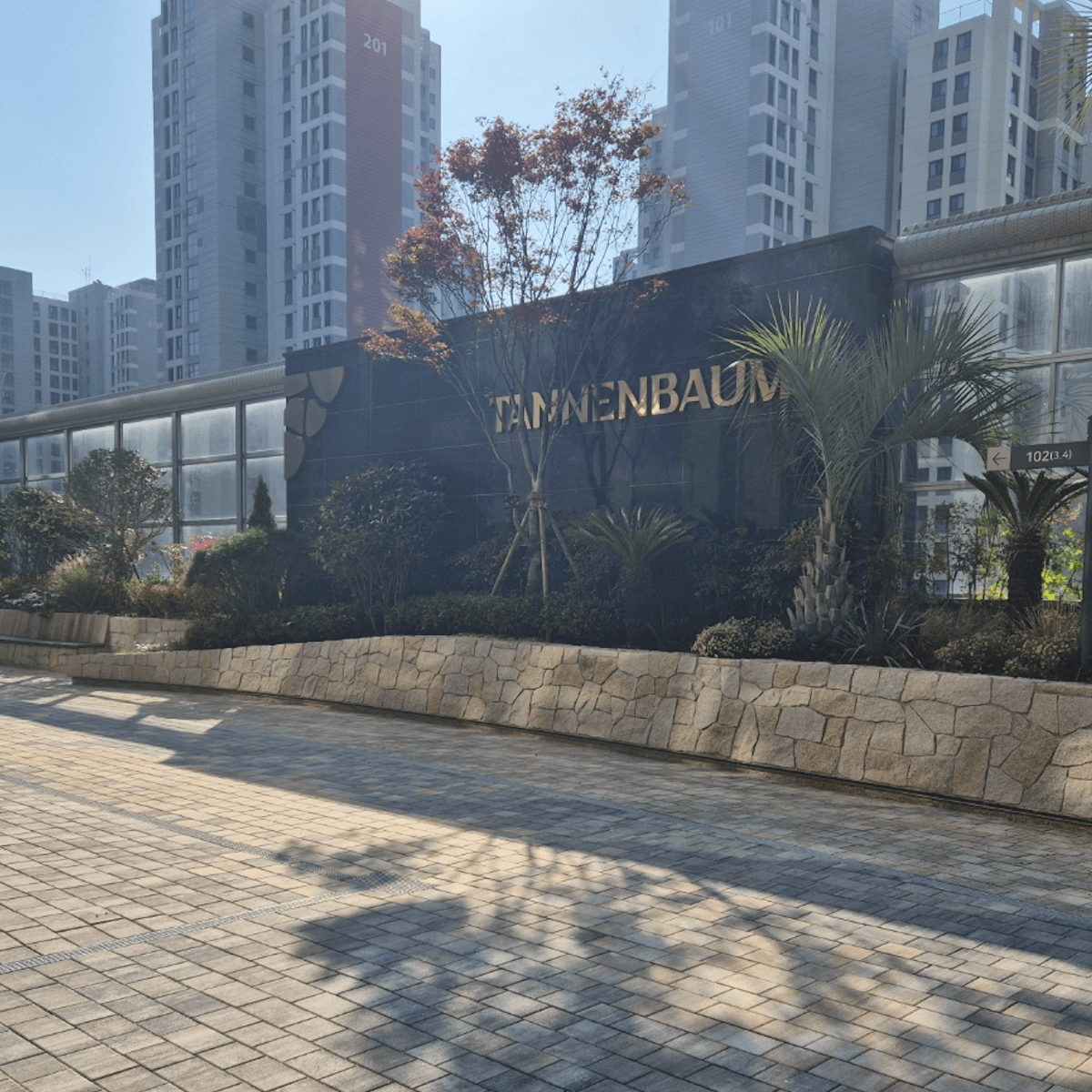 광안리 테넌바움