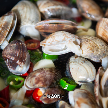 비타민b12가 많은 음식