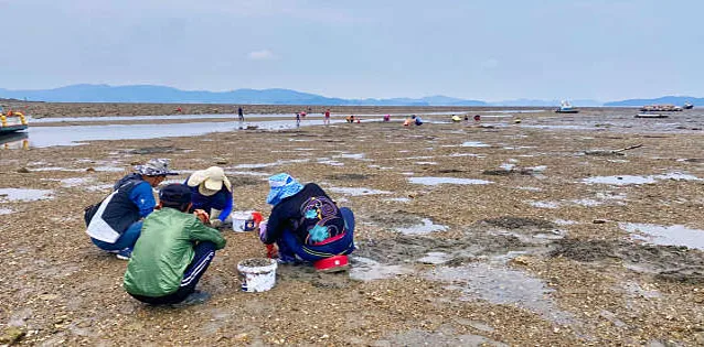 왕산어촌체험휴양마을