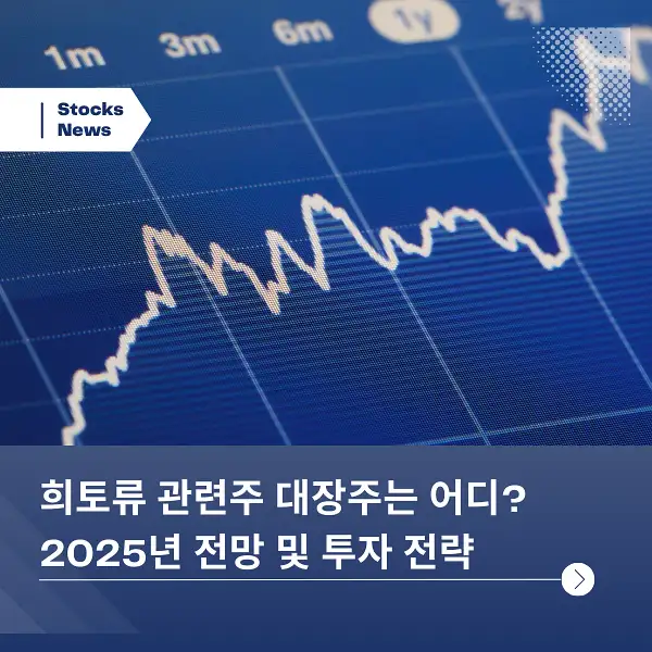 희토류 관련주 대장주