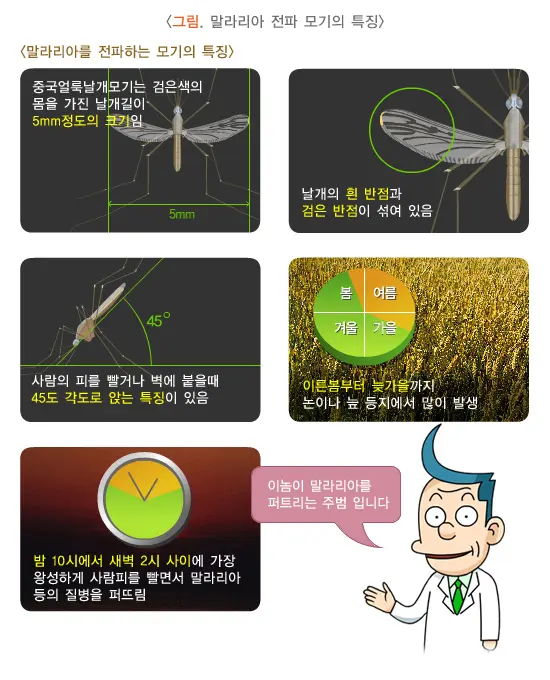 말라리아 모기 특징 설명 그림