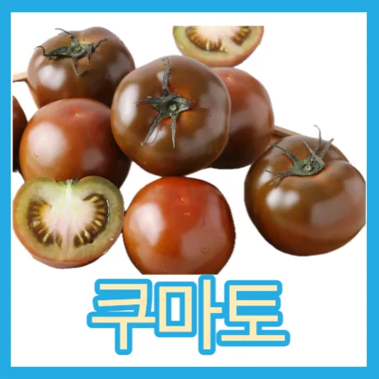 쿠마토 토마토 차이 흑토마토 효능 가격 칼로리 스테비아 쿠마토
