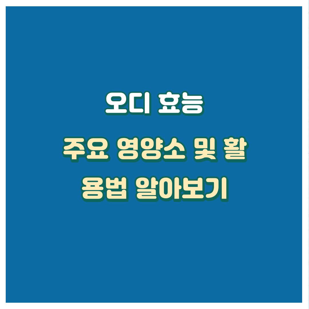 오디효능표지