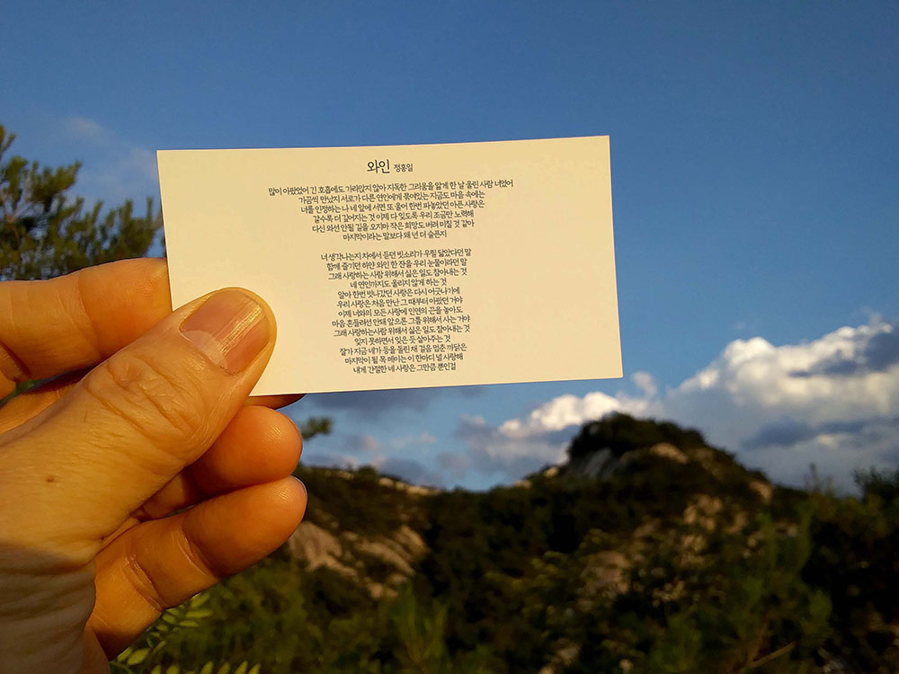 정홍일의 와인(Wine)