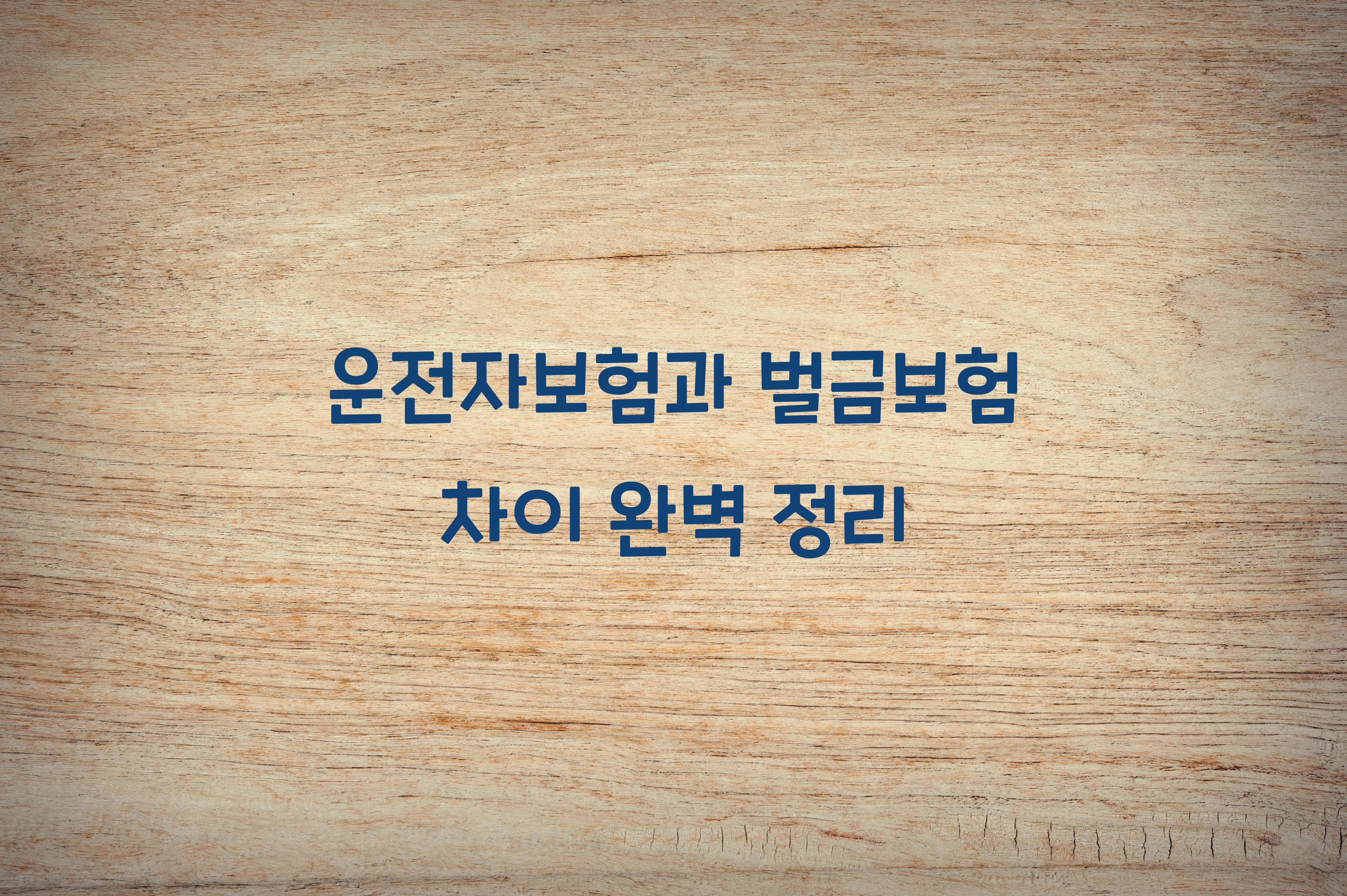 운전자보험과 벌금보험 차이