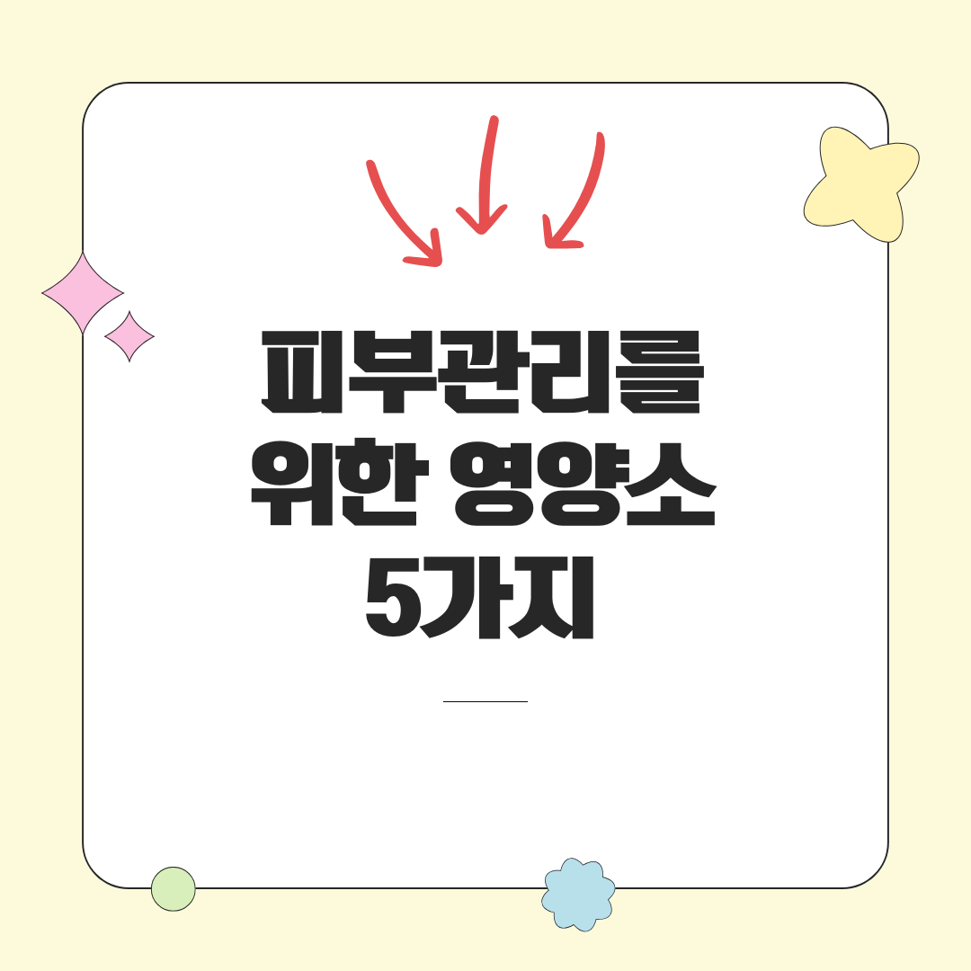 피부에 좋은 영양제, 피부 관리를 위한 필수 영양소 추천