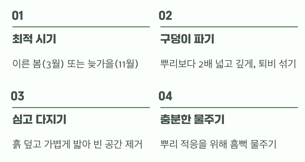 성공적인 첫걸음, 옮겨 심기