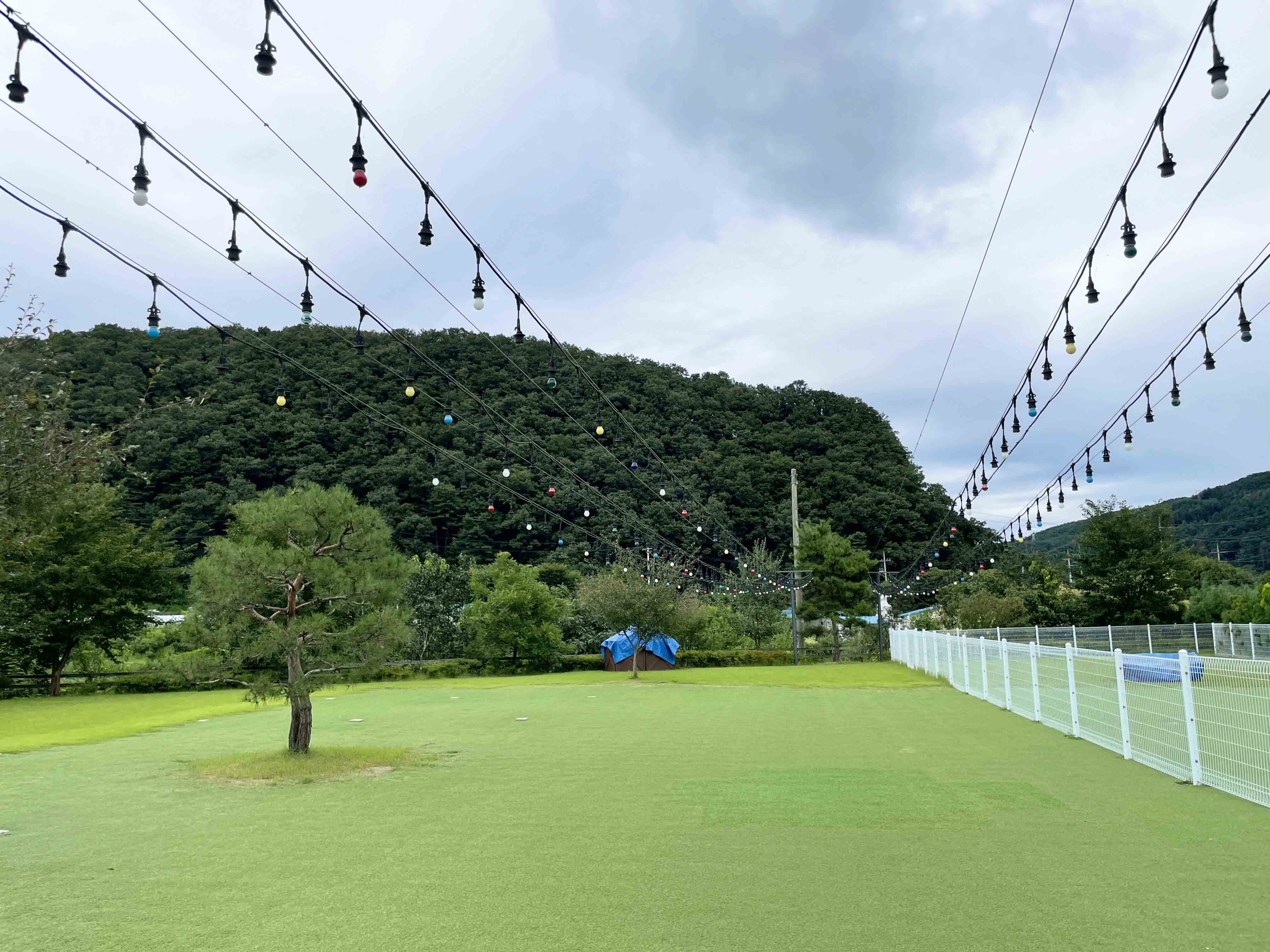 니드썸레스트