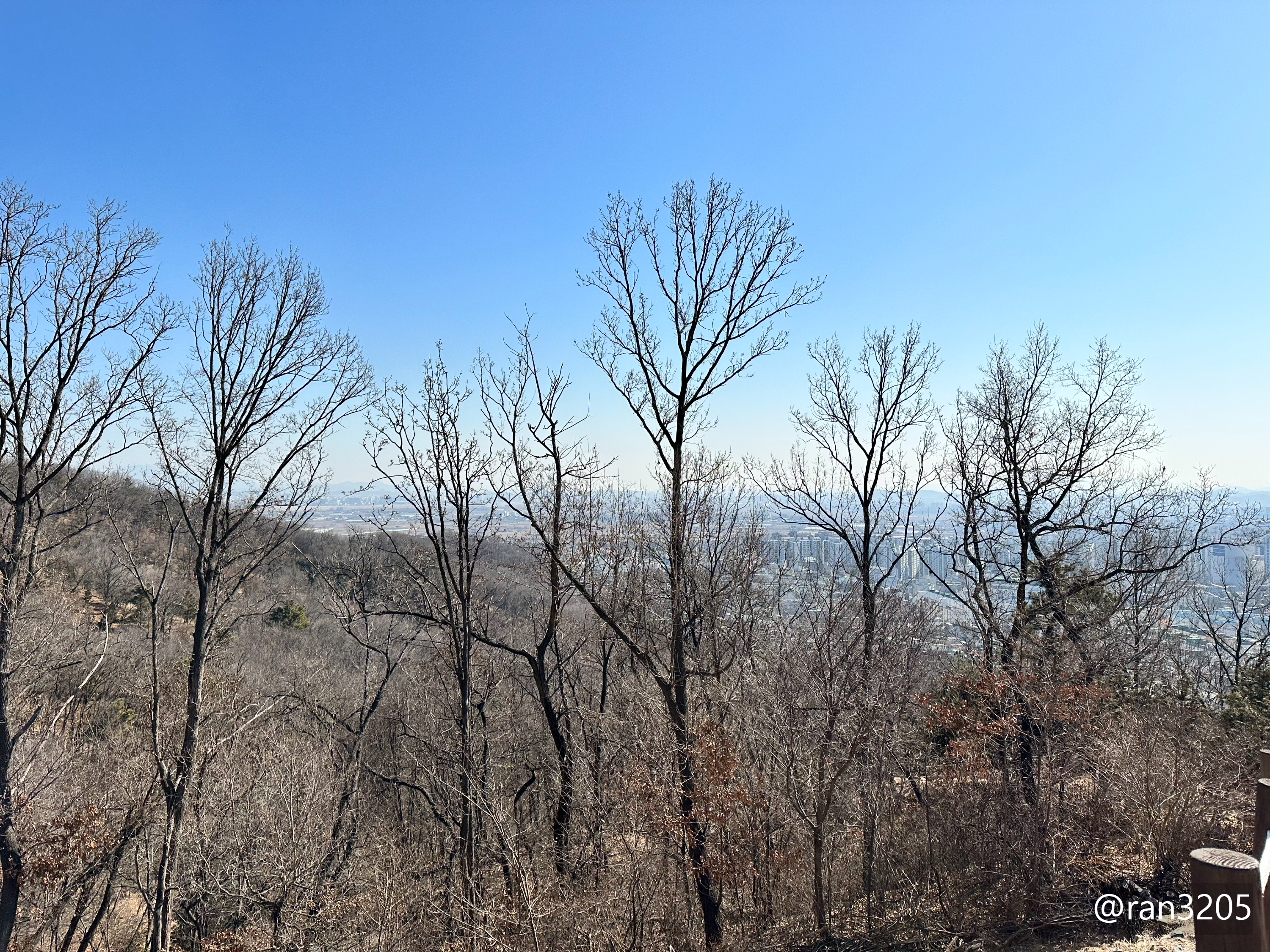 임학공원에서 본 풍경