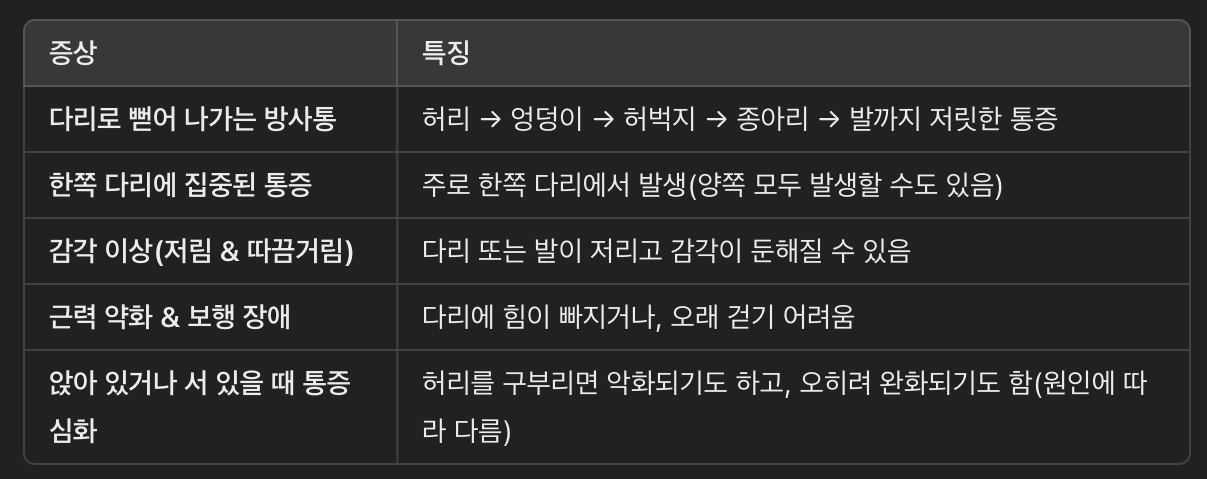 좌골신경통의 주요 증상