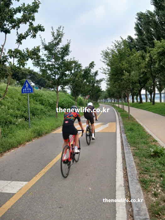 간 좋은 음식 운동 자전거 타기