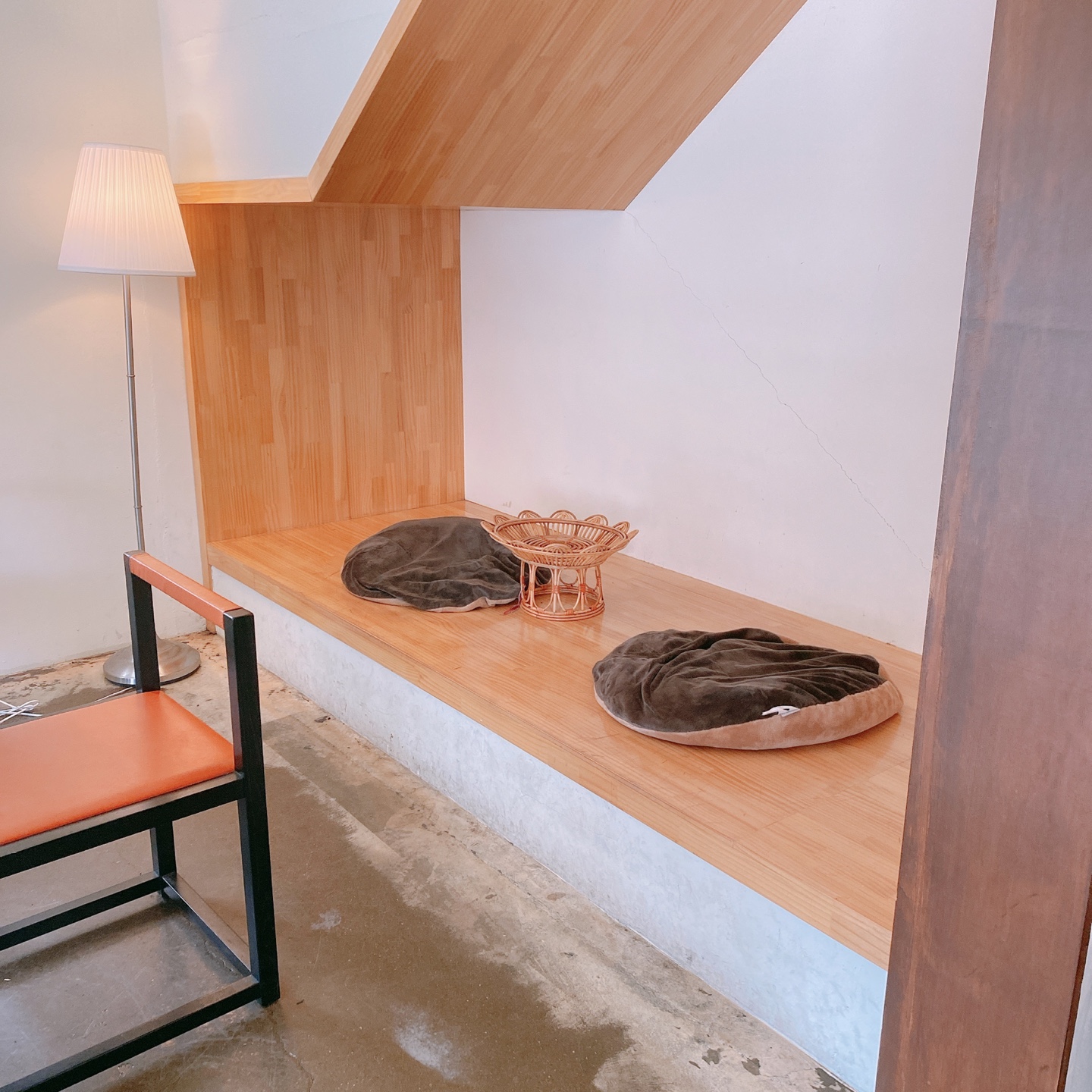 제주시청 대학로거리 주택개조 카페 라토커피