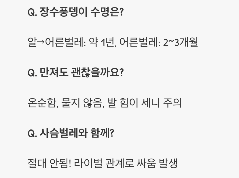 장수풍뎅이 키우기 방법부터 먹이, 사육장 세팅까지 완벽 가이드