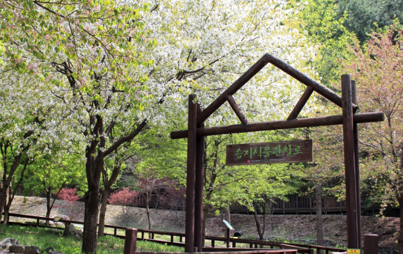 국립자연휴양림