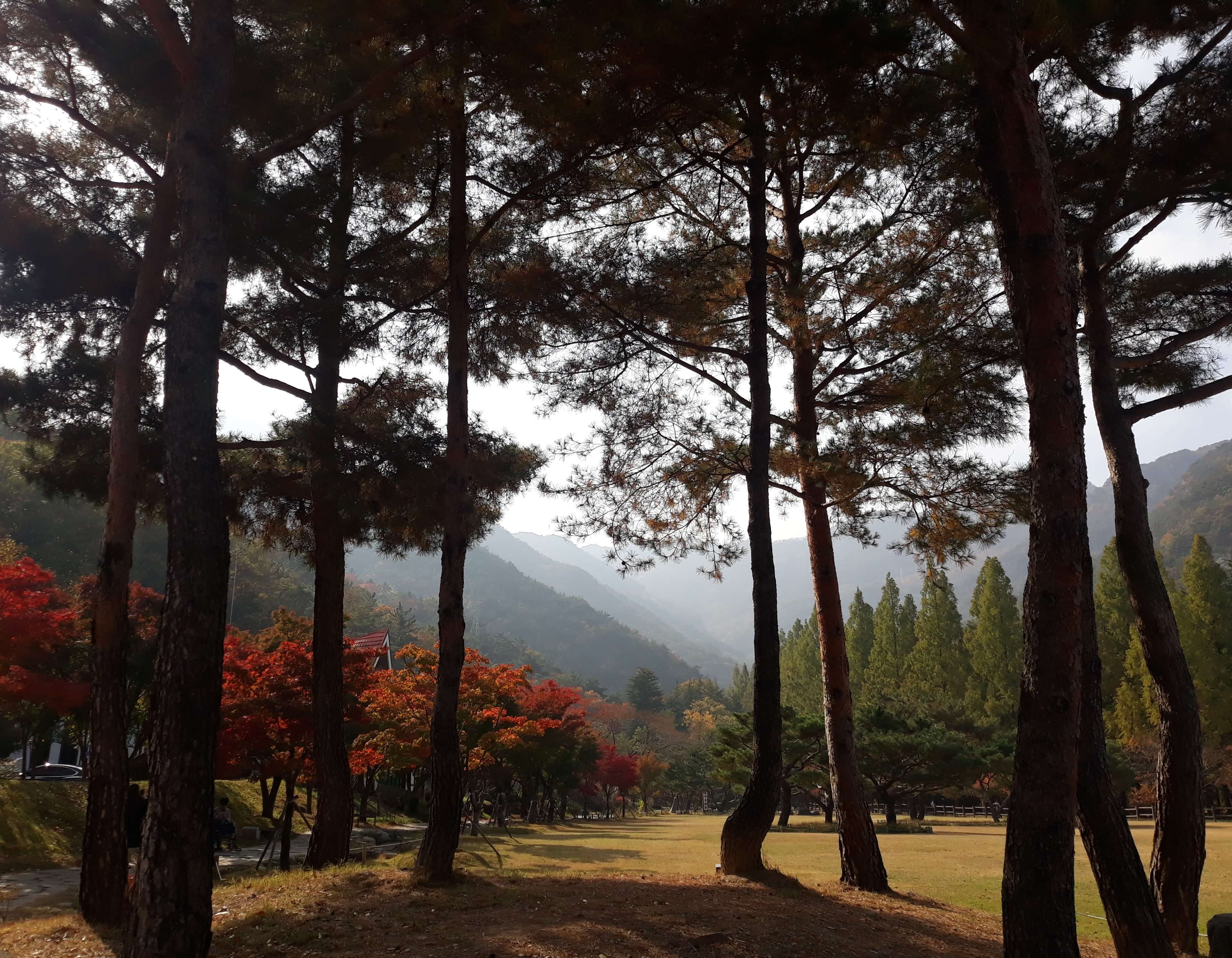 금오산도립공원-케이블카
