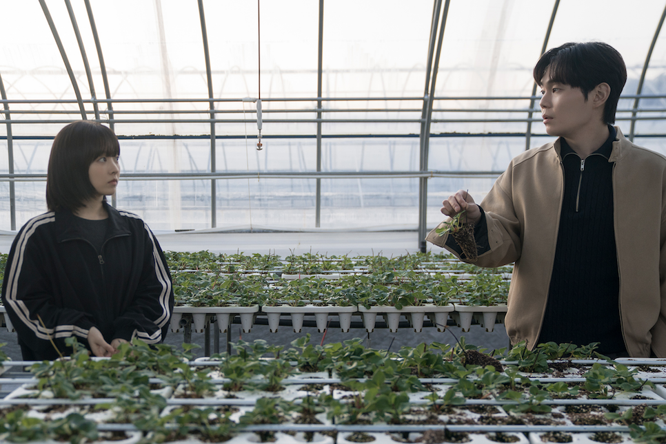 미지의 서울 박보영