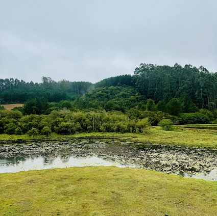 샬레 외부 작은 호수