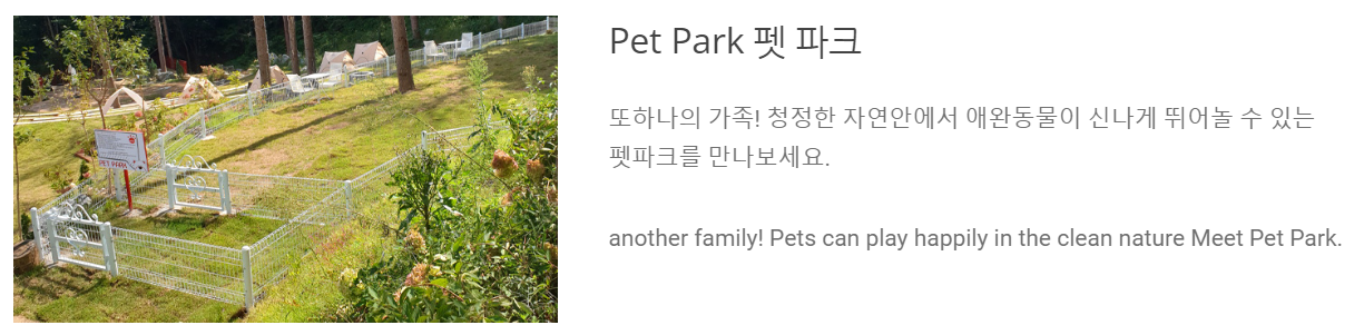 에델바이스 스위스 테마파크