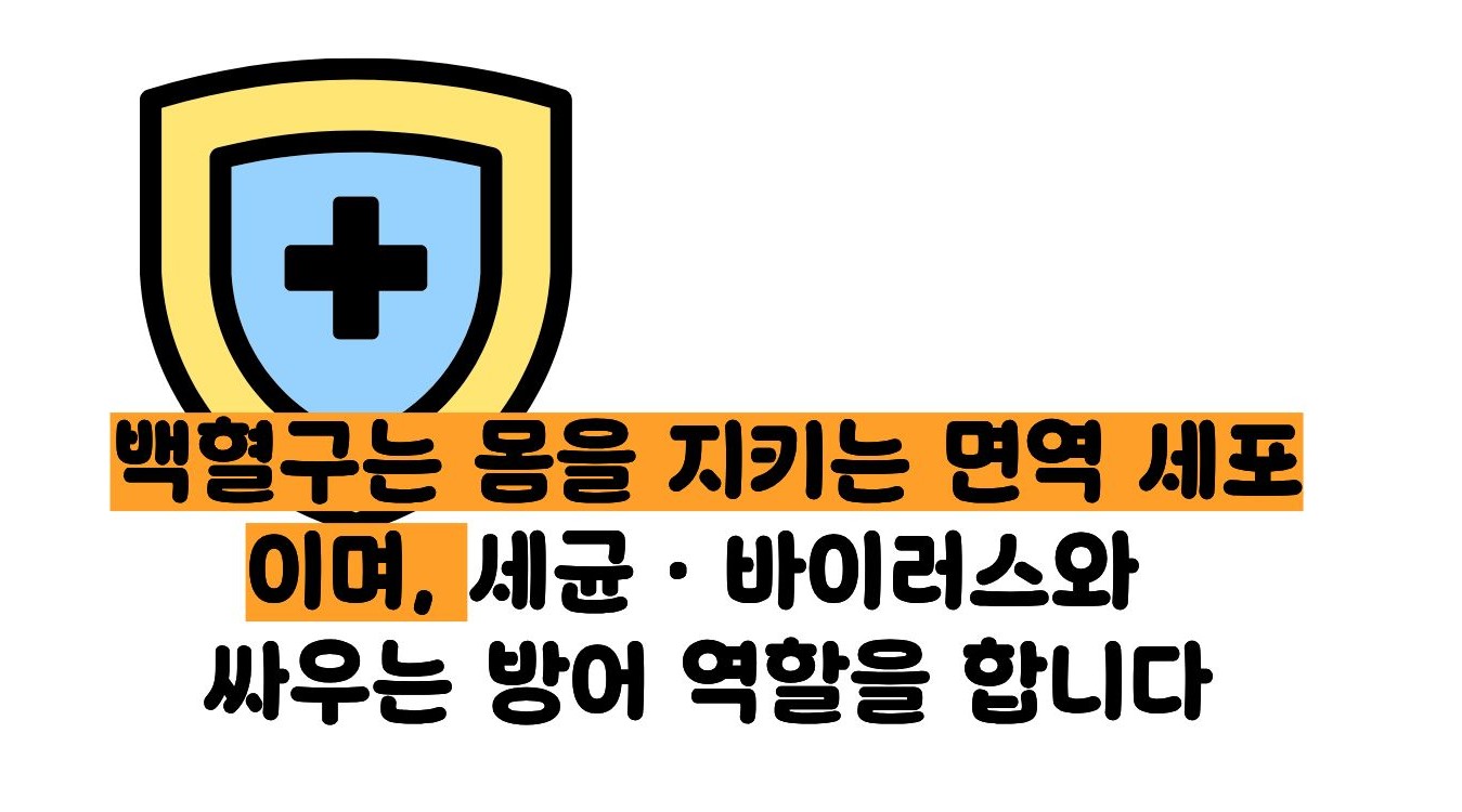 백혈구 수치가 낮은 이유