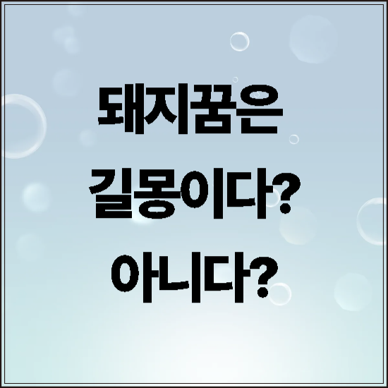 돼지꿈총정리