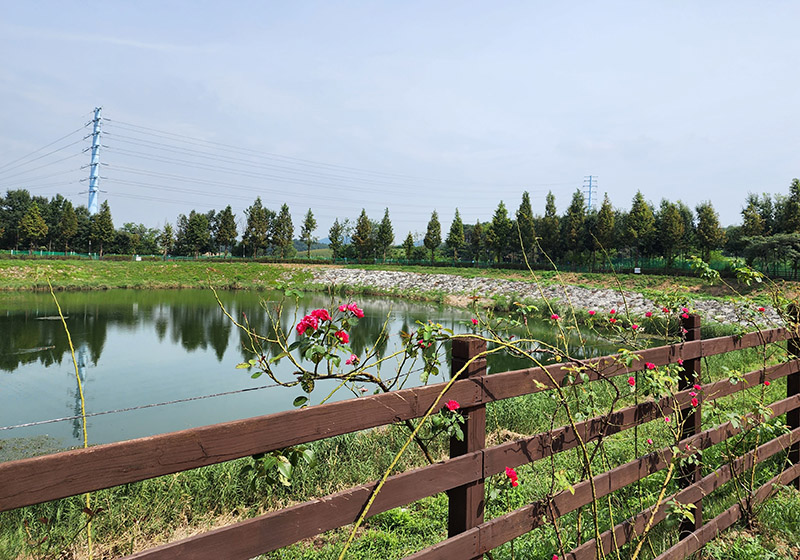 충청남도 천안시 풍세파크골프장 소개