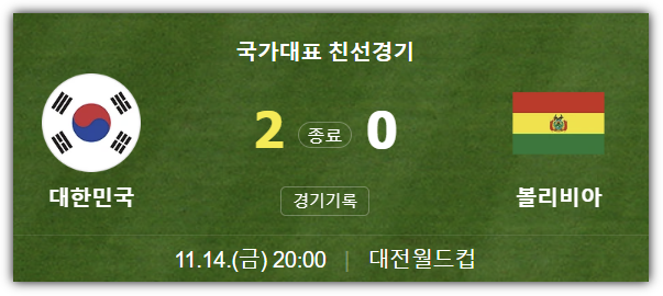 한국 대 볼리비아 축구 결과, 골장면, 관중수, 반응, 홍명보호 향후 전망