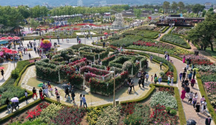 곡성 세계장미축제