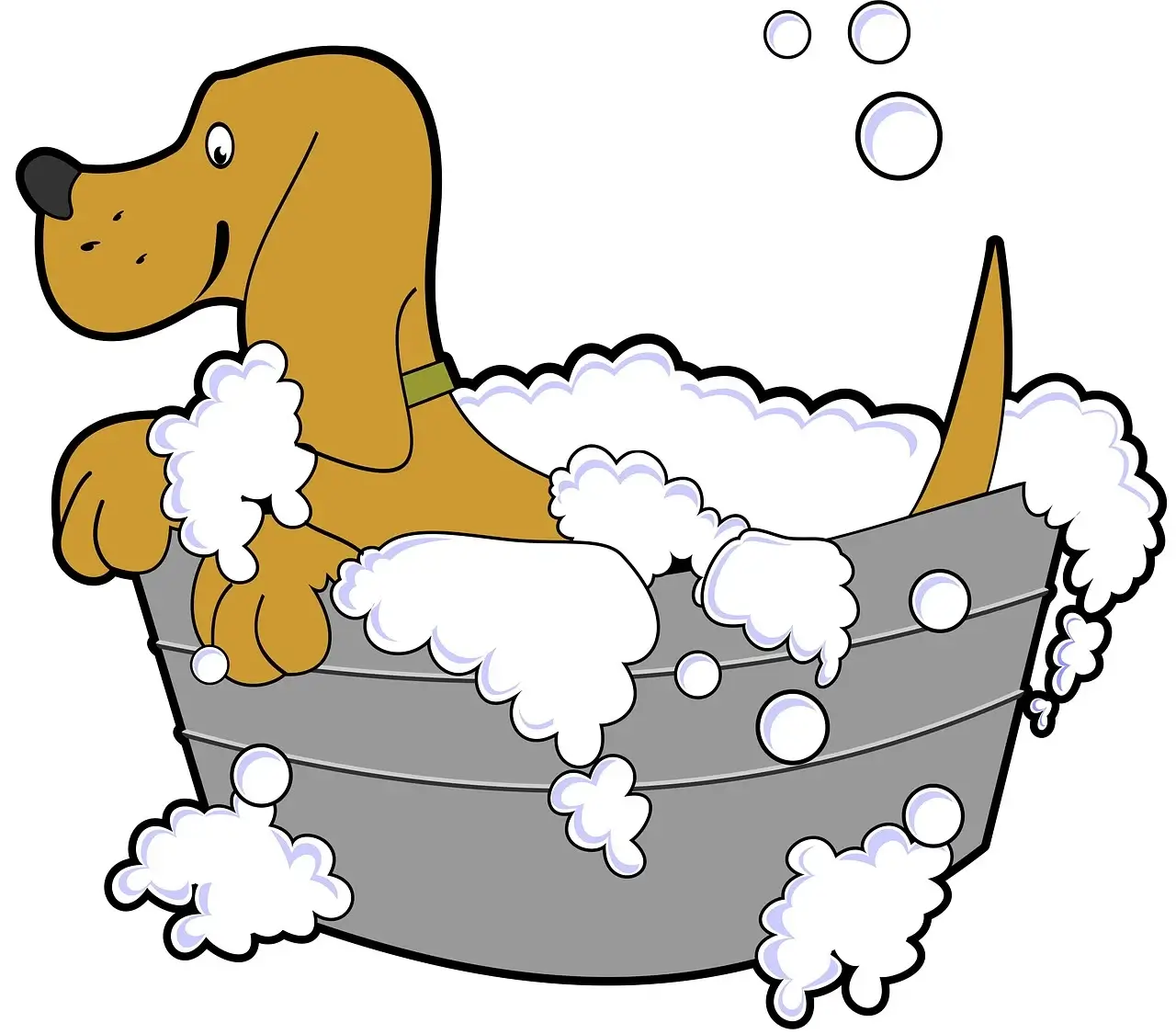 Dog Bath - 강아지 목욕