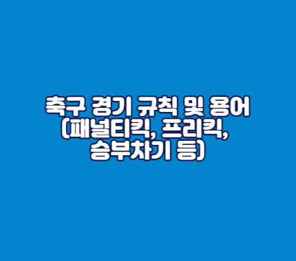 축구 경기 규칙 및 용어(패널티킥&#44; 프리킥&#44; 승부차기 등)