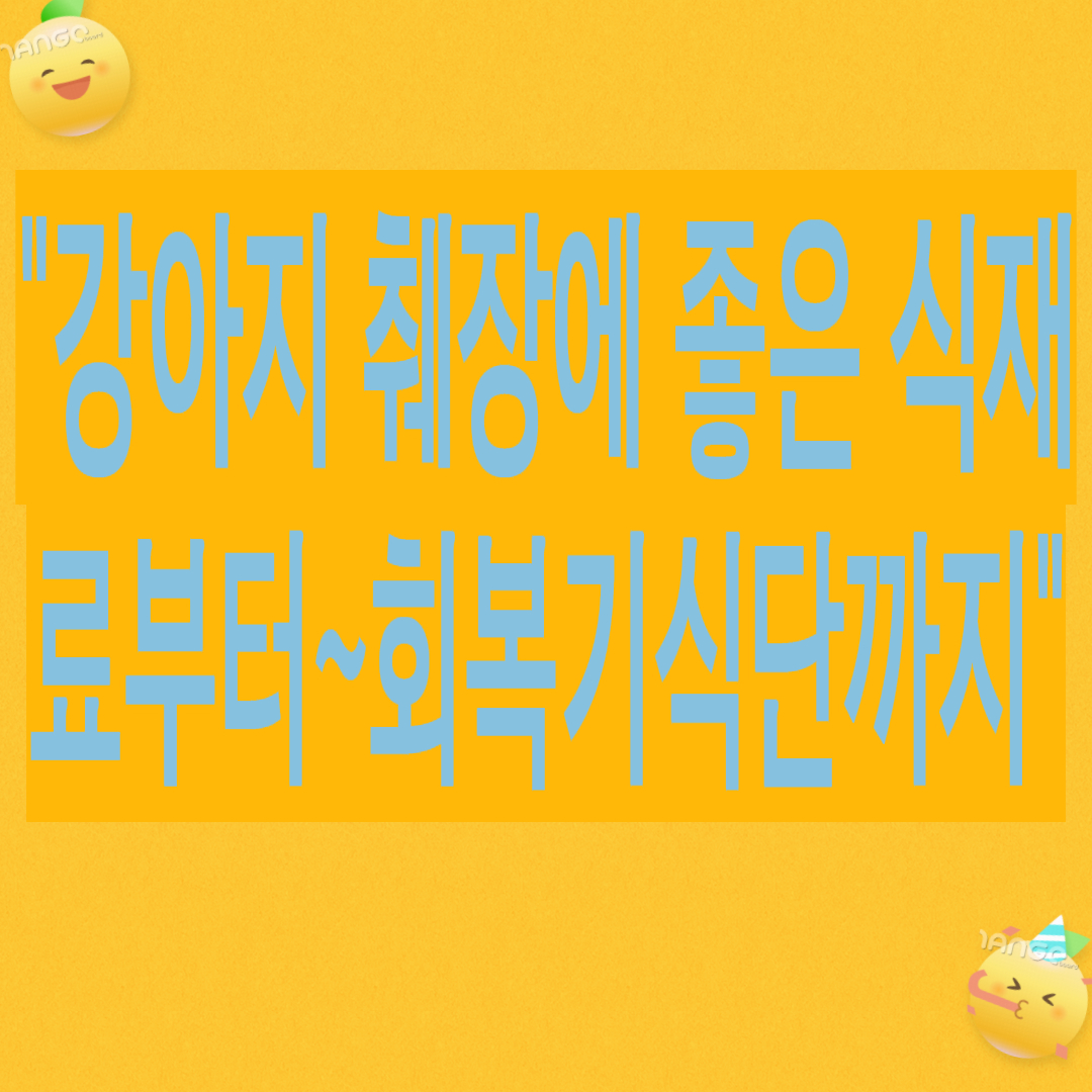 "강아지 췌장염예방"에 좋은 식재료부터 ~회복기 식단까지