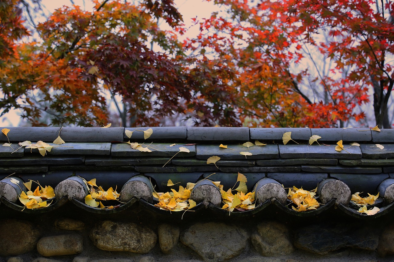 사찰 건축 양식의 변화로 보는 불교 역사