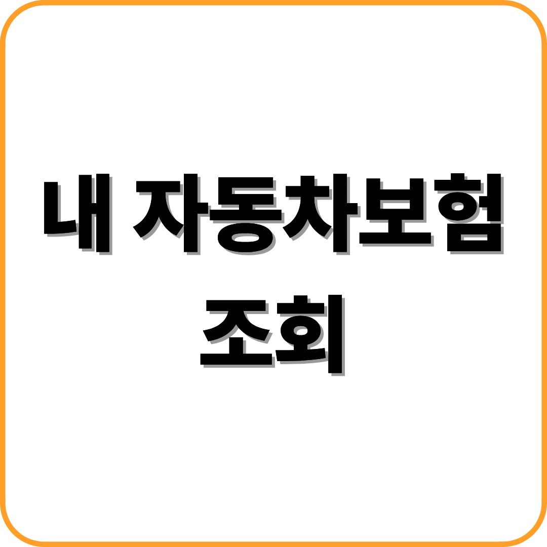 내 자동차보험 조회