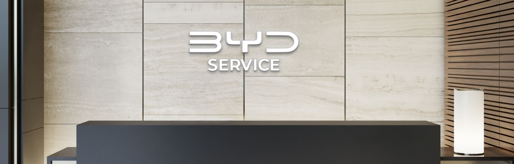 BYD전기차-서비스-정책