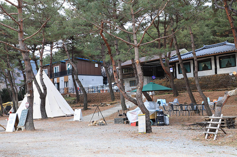 춘천 황금박쥐캠핑장 소개