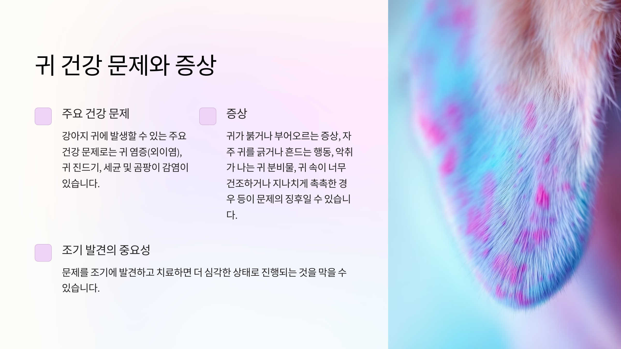 귀 건강 문제와 증상