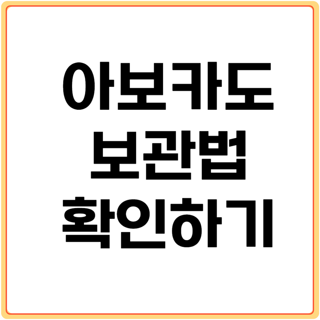 아보카도-보관법-확인하기