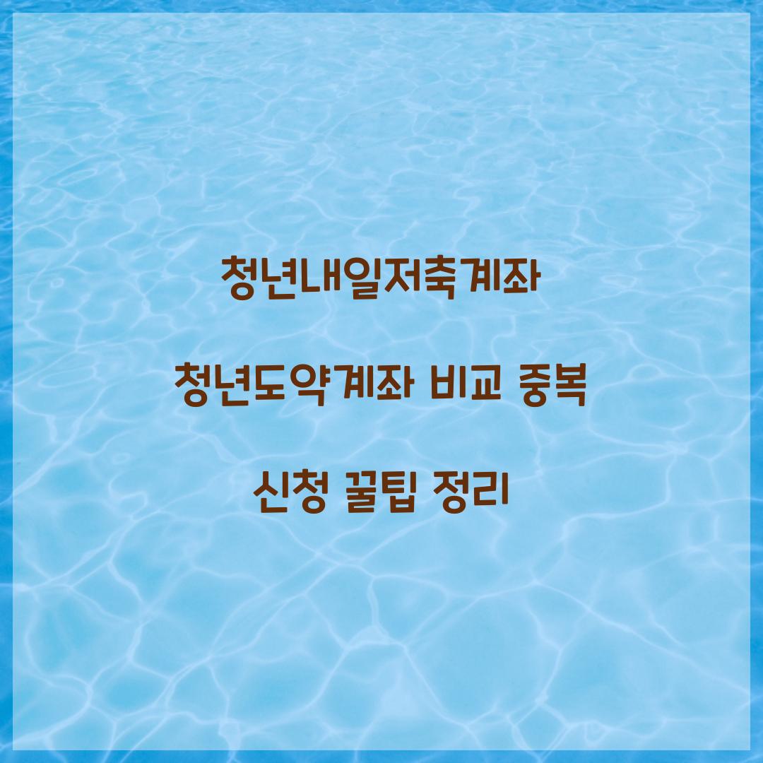 청년내일저축계좌 청년도약계좌 비교 및 중복 신청 내용